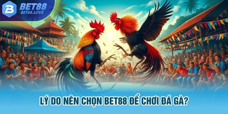 Lý do nên chọn Bet88 để chơi đá gà?